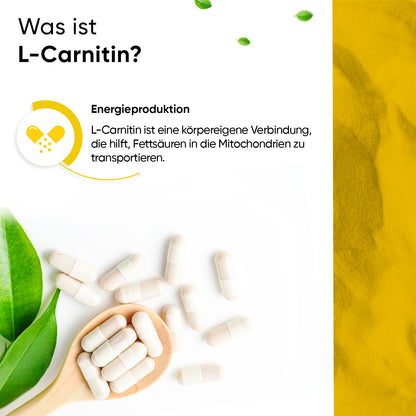 320 capsule di L-carnitina