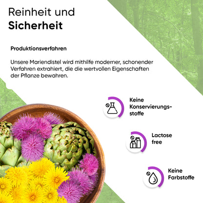 Mariendistel 240 Kapseln