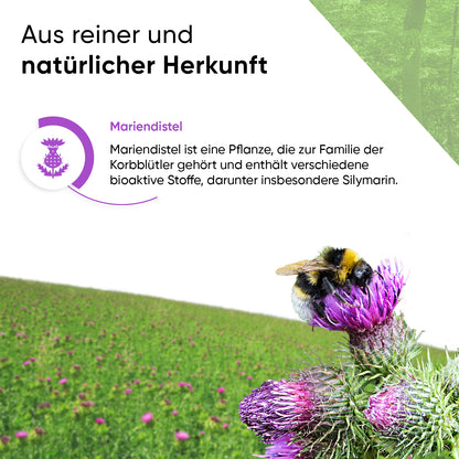 Mariendistel 240 Kapseln