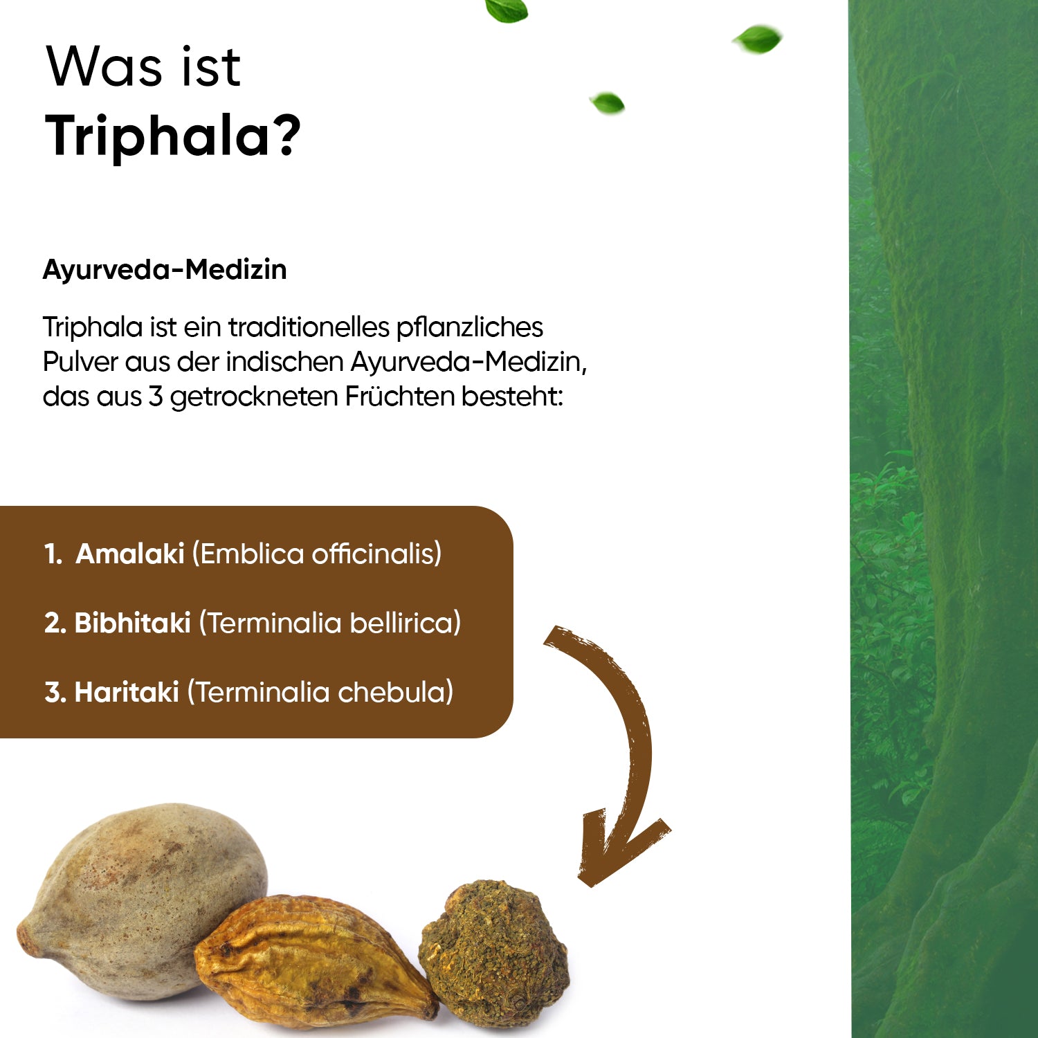 Triphala 300 Kapseln