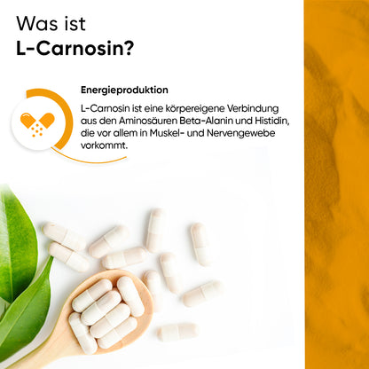 L-Carnosin 100 Kapseln
