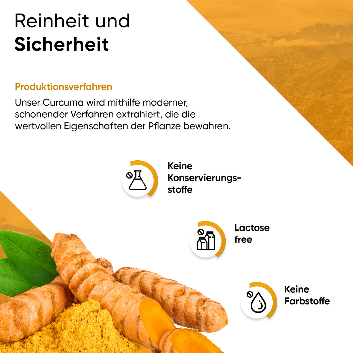Curcuma Extrakt 240 Kapseln
