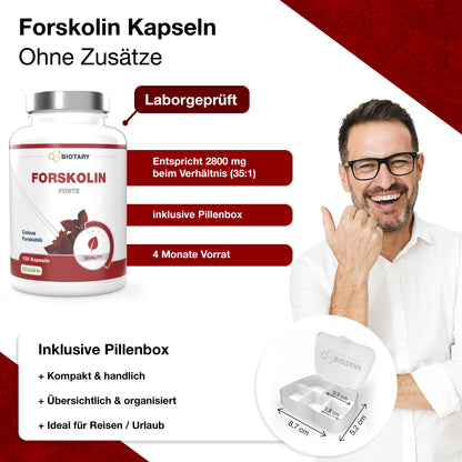 Ekstrakt forskoliny – 120 kapsułek