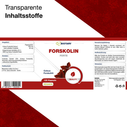 Ekstrakt forskoliny – 120 kapsułek