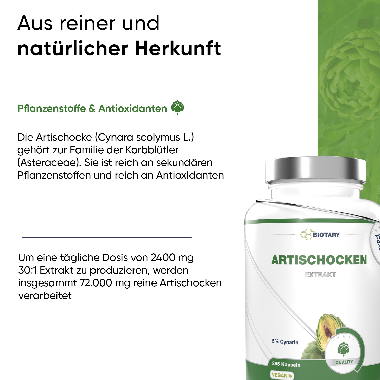 Artischocken Extrakt 365 Kapseln