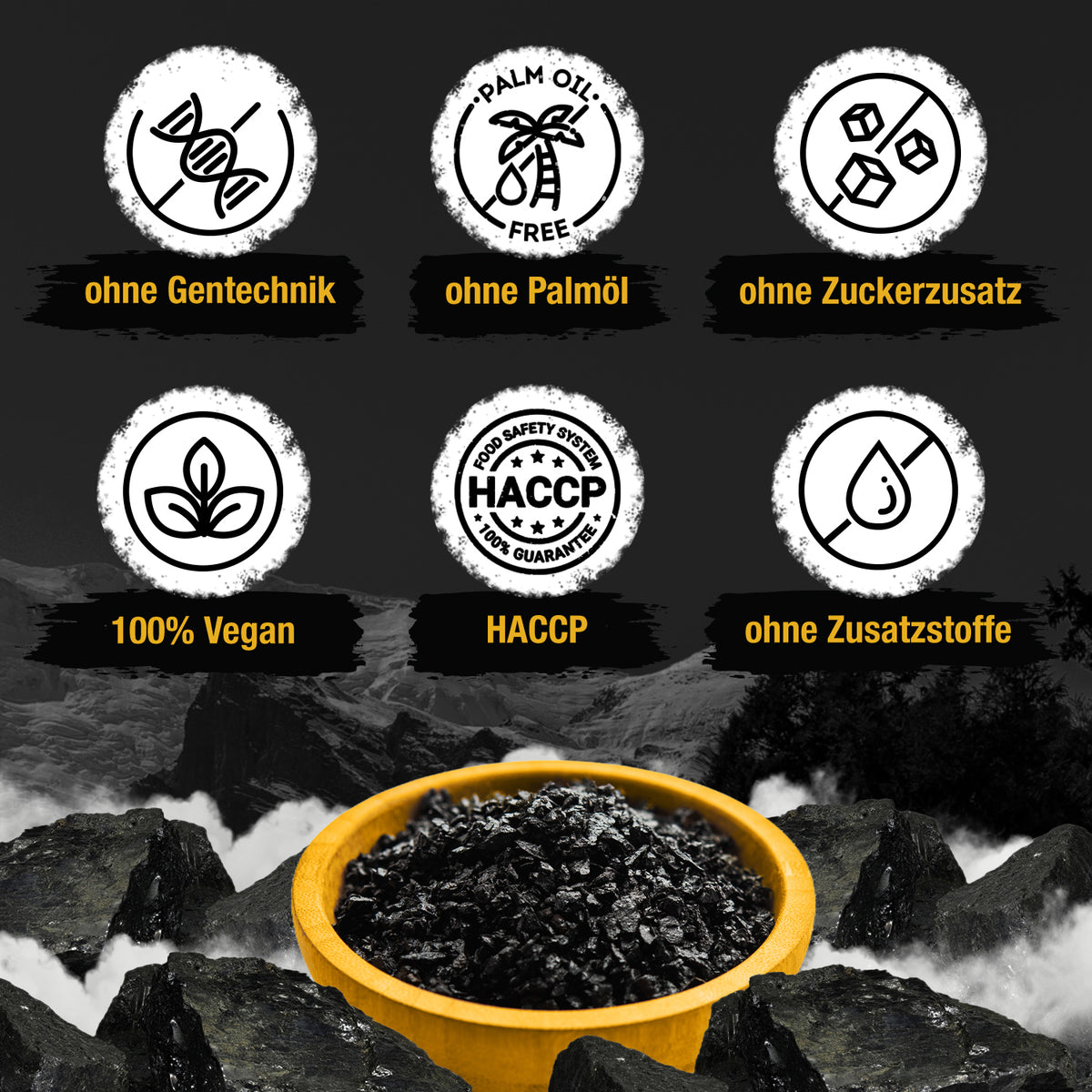 Shilajit – 200 capsule