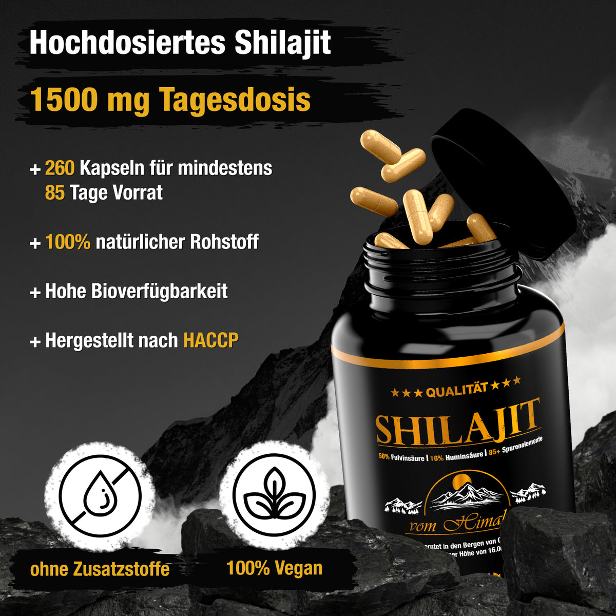 Shilajit – 200 capsule