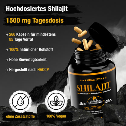 Shilajit – 200 capsule