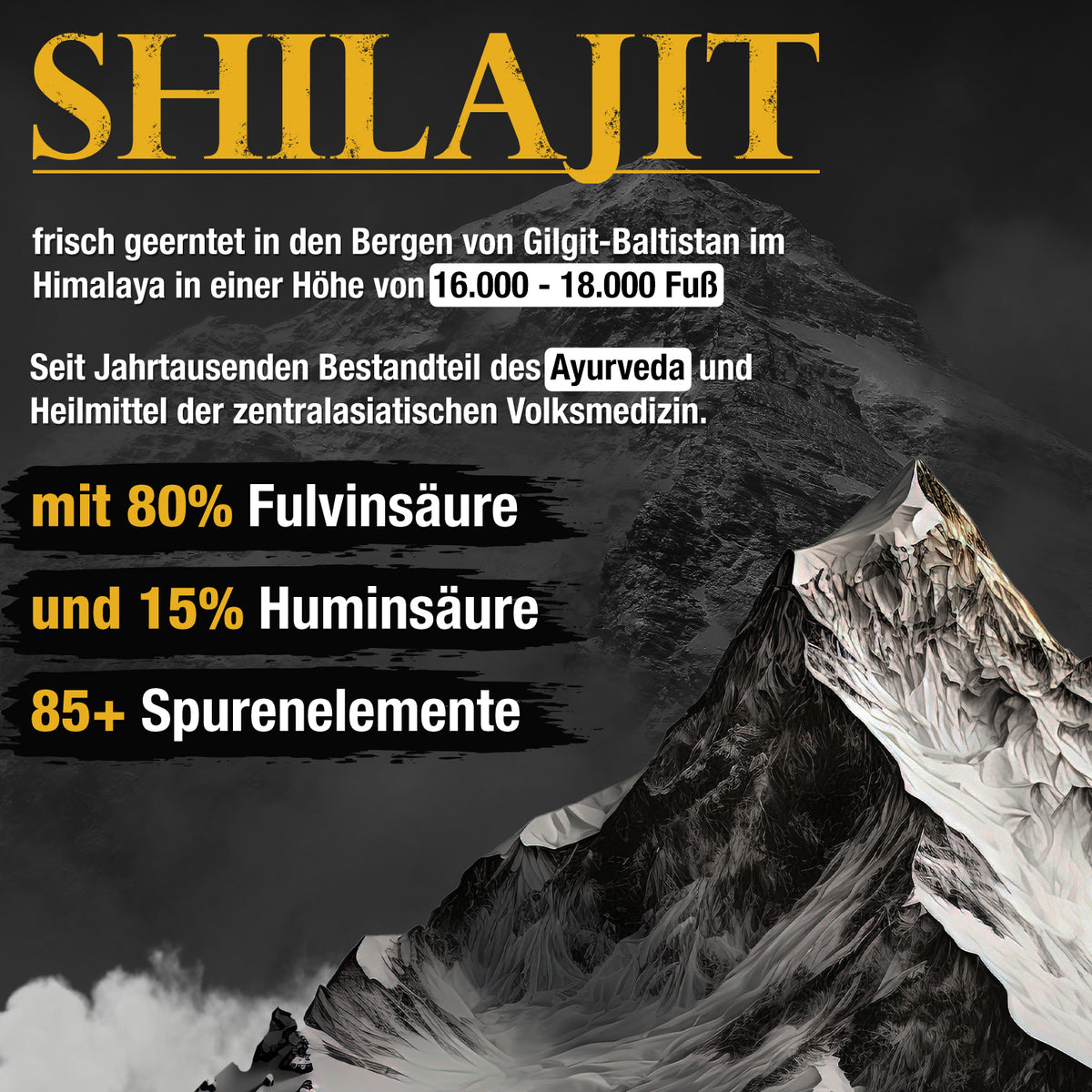 Shilajit Gold Standard 60g
